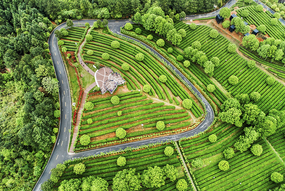 謝望東--18108424491---DJI_0198a1h.jpg 謝望東--18108424491---DJI_0198a1h.jpg