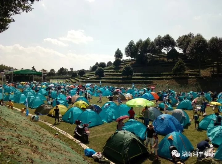 640.webp (14).jpg 640.webp (14).jpg