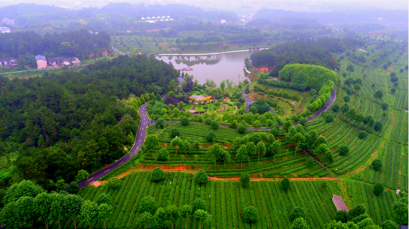 微信截圖_20200120144711.jpg 微信截圖_20200120144711.jpg