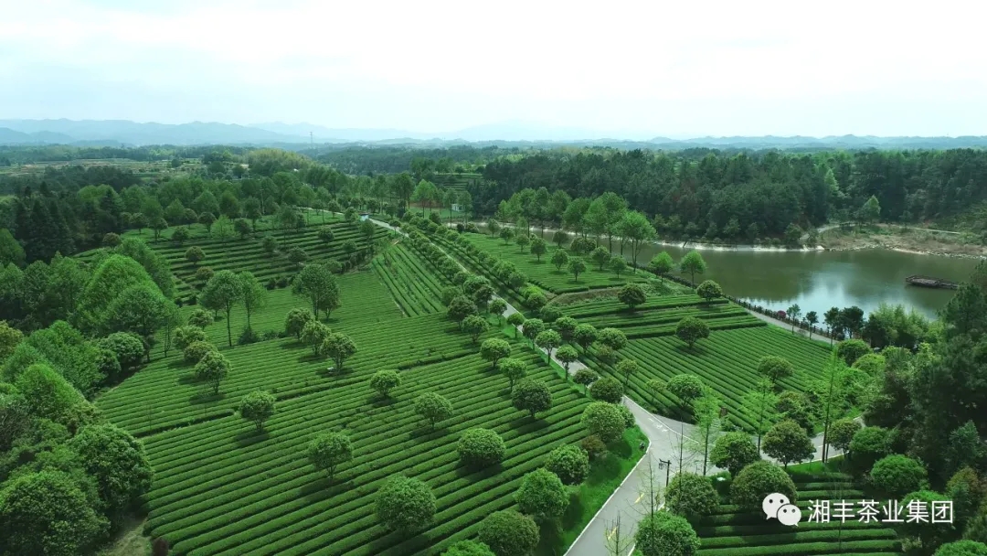 微信圖片_2020111910545412.jpg 微信圖片_2020111910545412.jpg