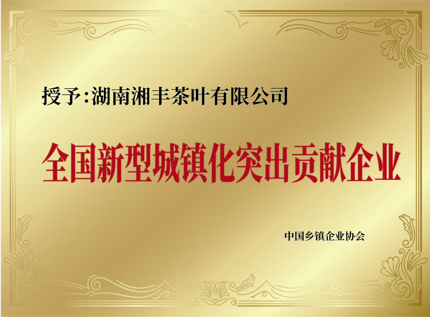 全國新型城鎮(zhèn)化突出貢獻(xiàn)企業(yè)