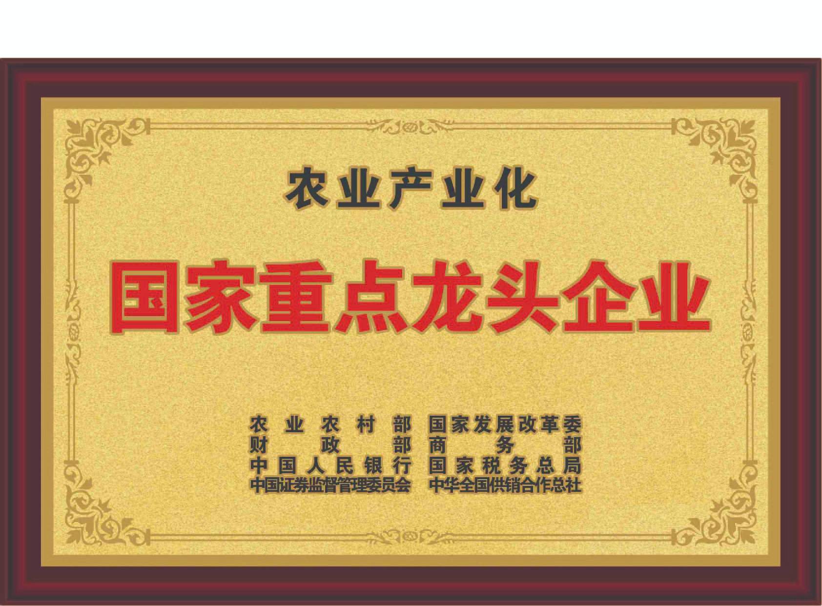 農(nóng)業(yè)產(chǎn)業(yè)化國家重點龍頭企業(yè)