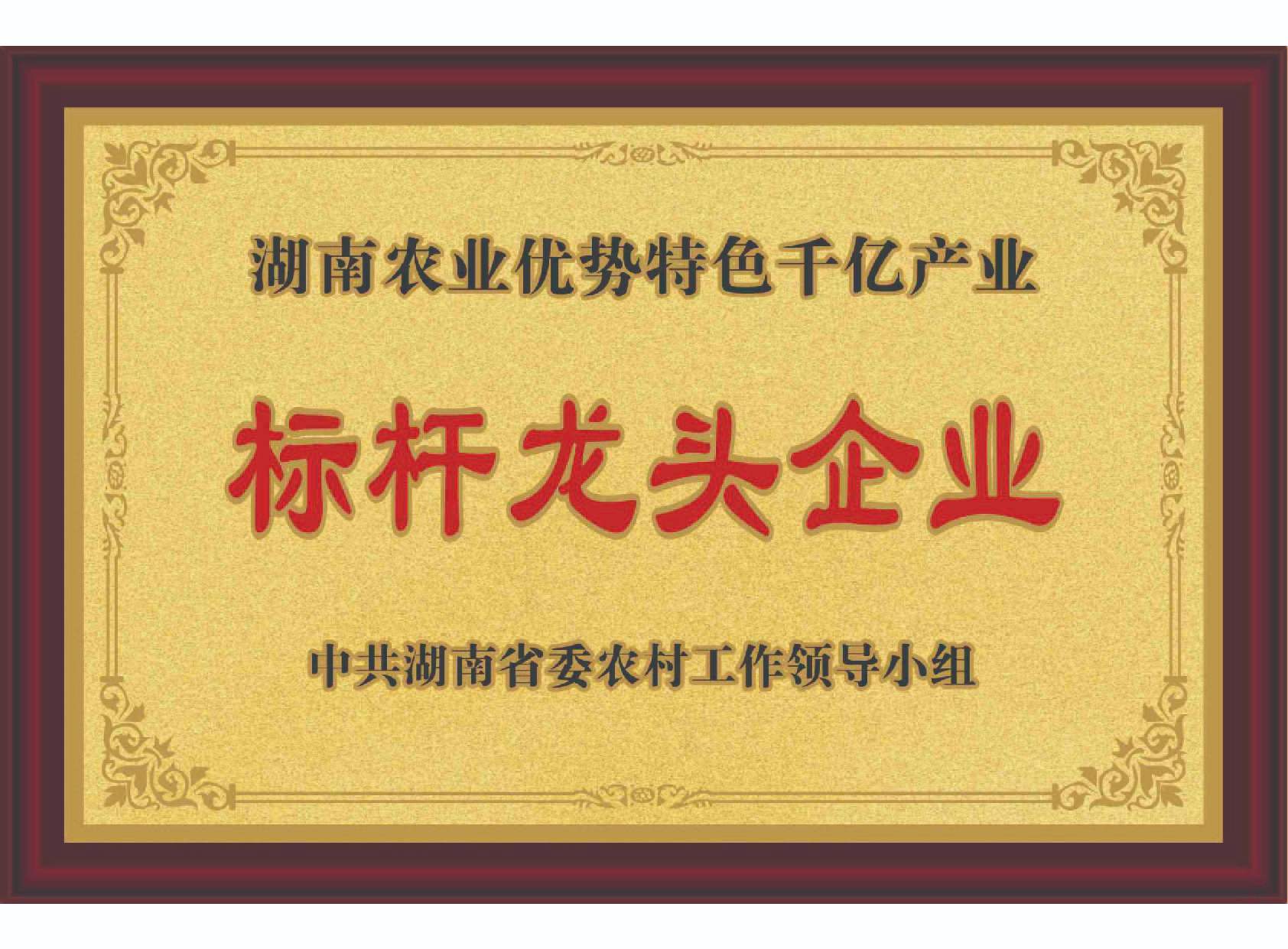 湖南農(nóng)業(yè)優(yōu)勢特色千億產(chǎn)業(yè)標(biāo)桿龍頭企業(yè)