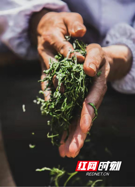 6de1c1cd-a65f-46af-8ce3-73c0c6962123.jpg 6de1c1cd-a65f-46af-8ce3-73c0c6962123.jpg