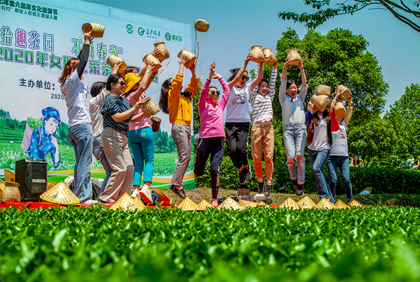 春茶季游客采茶比賽.jpg.png 春茶季游客采茶比賽.jpg.png