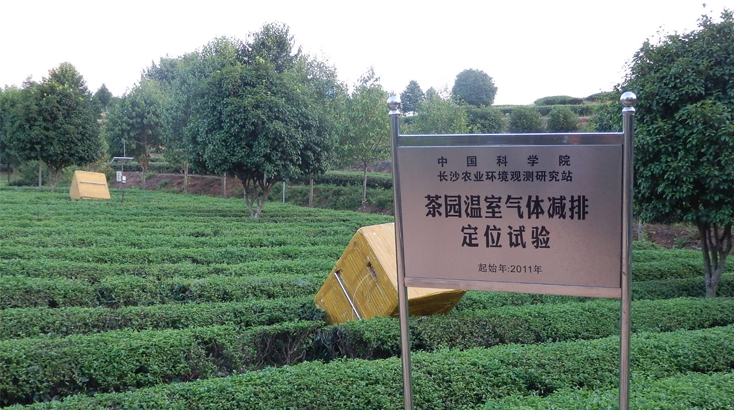 中科院監(jiān)控生態(tài)茶園.JPG.png 中科院監(jiān)控生態(tài)茶園.JPG.png