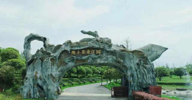 湘豐茶業(yè)莊園.jpg 湘豐茶業(yè)莊園.jpg