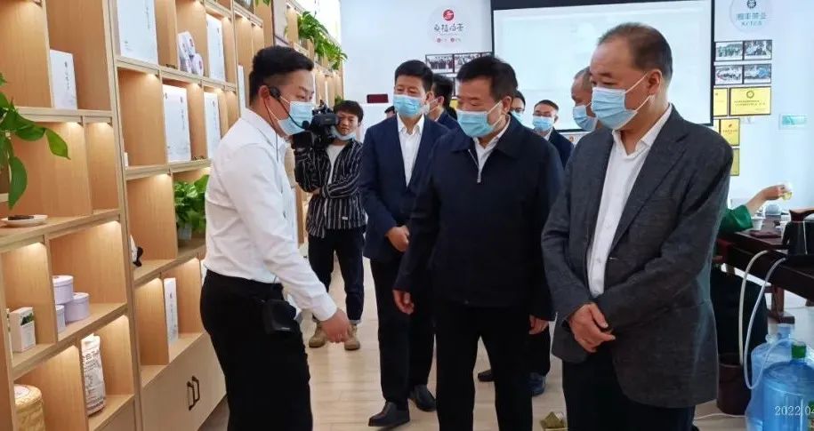 湖南省副省長陳飛帶隊(duì)考察調(diào)研湘豐桑植白茶公司