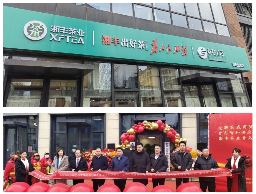 青島旗艦店盛大開(kāi)業(yè)！湘豐茶業(yè)集團(tuán)全國(guó)布局再下一城