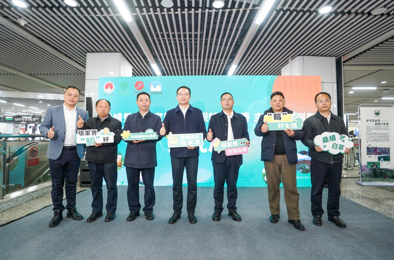 圖11片1.png 圖11片1.png