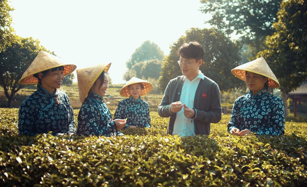 春茶飄香，一起去千年茶鄉(xiāng)品茗