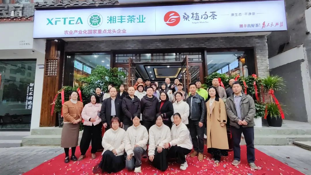 湘豐茶業(yè)·桑植白茶張家界武陵源旗艦店盛大開(kāi)業(yè)！