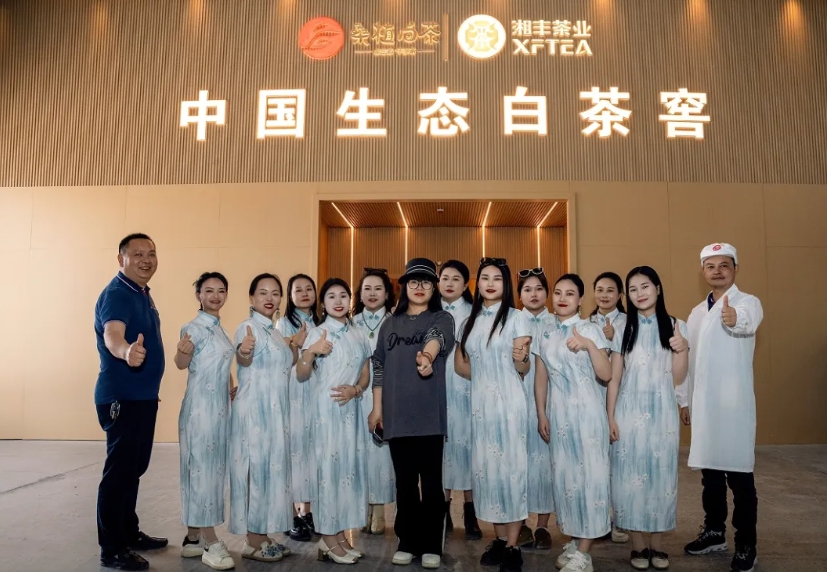 助力品牌騰飛 | 湘豐桑植白茶品宣與營銷培訓(xùn)活動(dòng)如期舉行