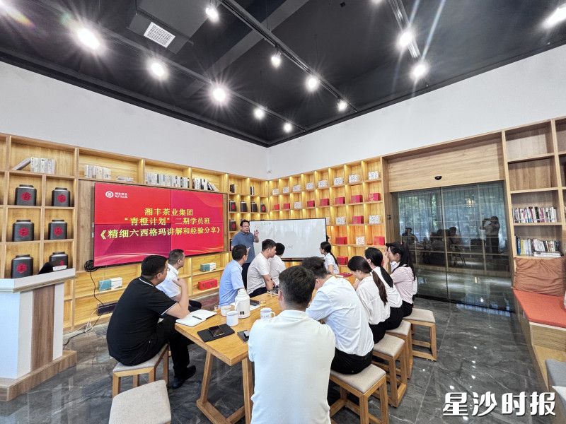 “育苗搭臺”激活人才振興密碼